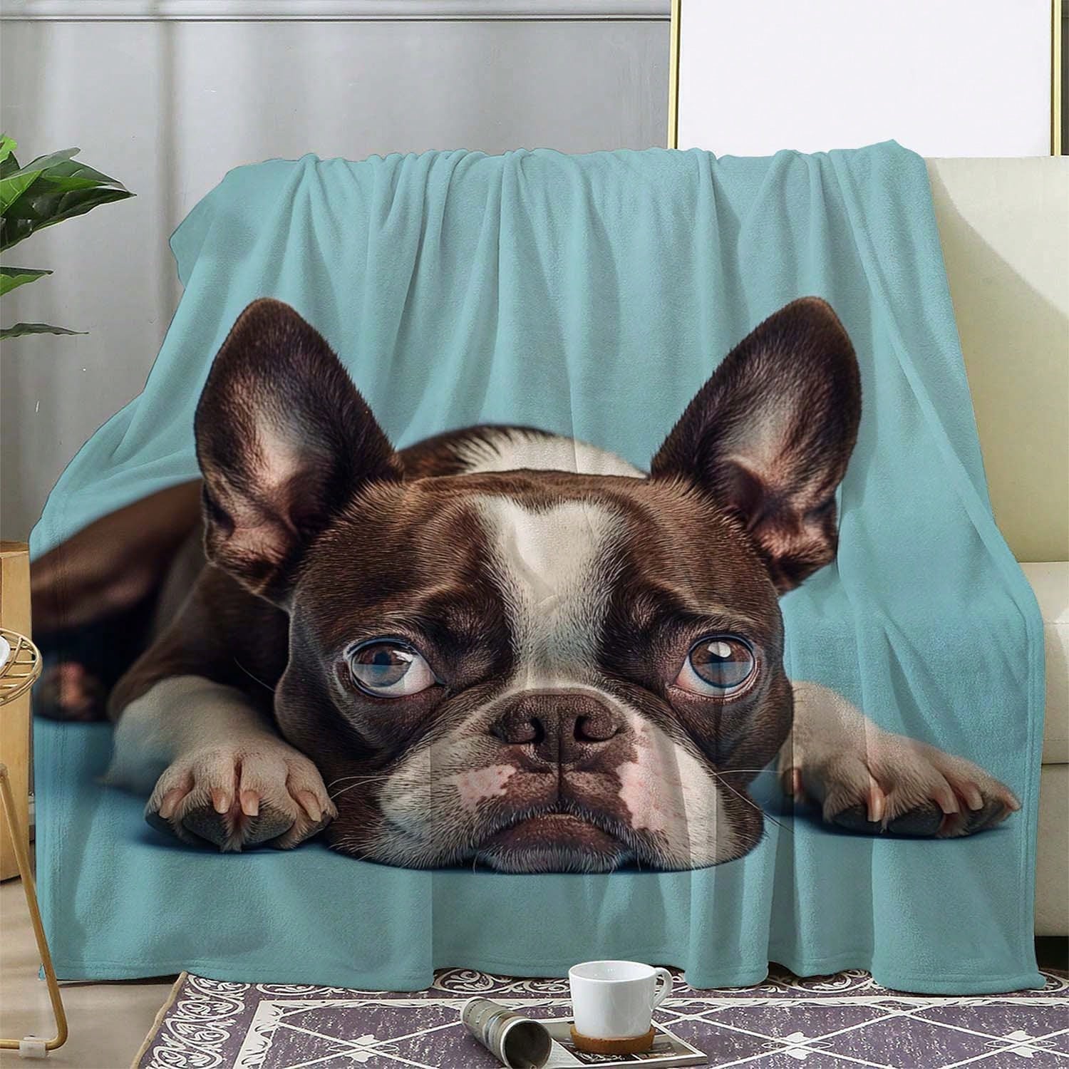 Custom Cat Blanket - Turn Pet Photos into Comfort